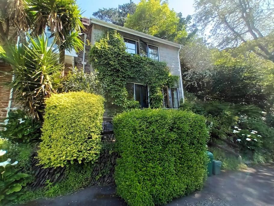 Treetop Cottage At Countisbury Lodge Линмут Экстерьер фото